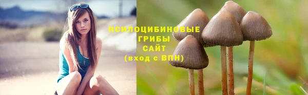 СК Баксан