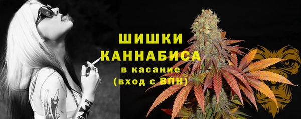 ПСИЛОЦИБИНОВЫЕ ГРИБЫ Балахна
