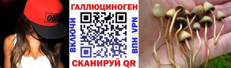 где найти наркотики блэк спрут онион Псилоцибиновые грибы Cubensis Ступино